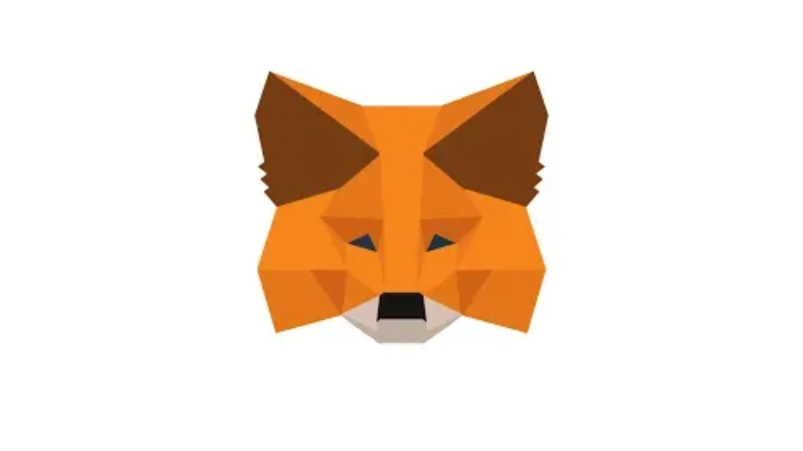 MetaMask Download: Complete Guide for Users